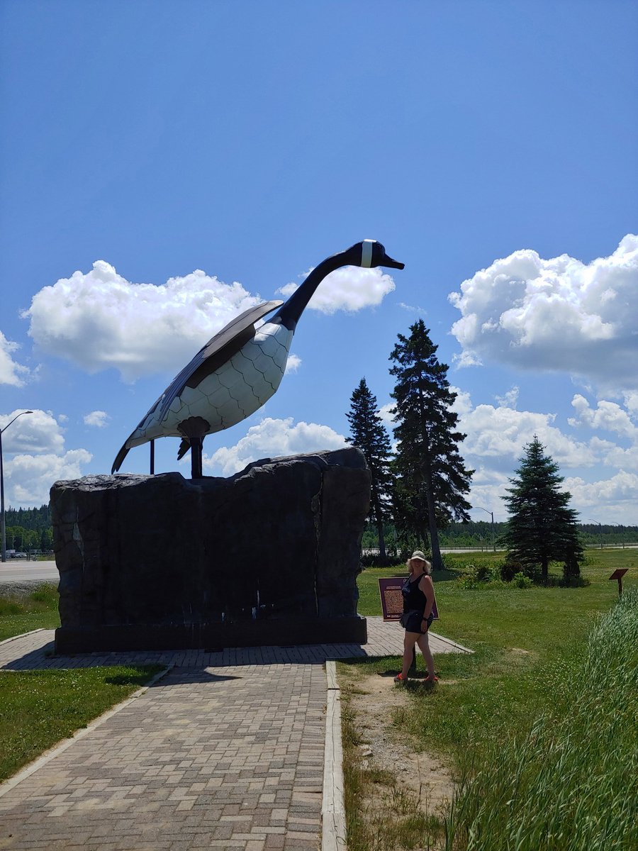 bertneale's tweet photo. The Goose at Wawa.  Who could drive up here without visiting the Goose at Wawa?  Not us.@lisaneale https://t.co/MUdx6XYa42