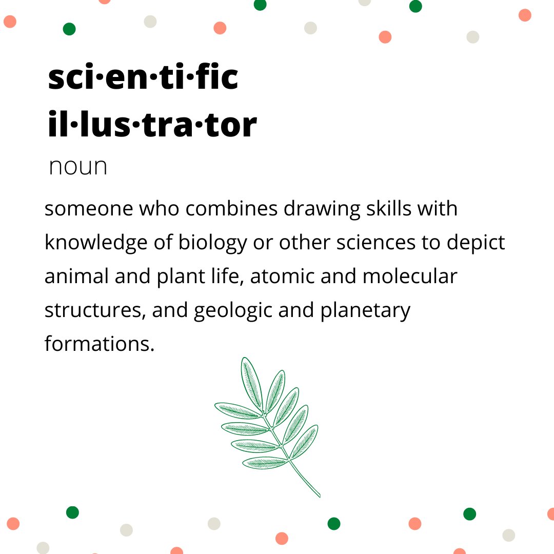 GrenadianSteam's tweet photo. SCIENCE SATURDAY.
Do you have a passion for art but also a love of science? Why not combine the two and pursue a career as a scientific illustrator? Click the link in our bio for more.
#grensteam #stemeducation #steameducation #art #science #explorepage https://t.co/xIPwjZaYlS