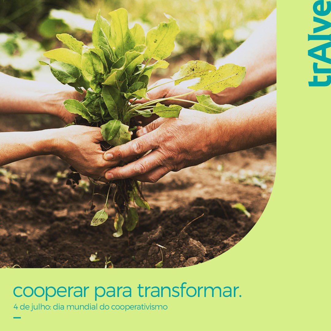 traivebrasil's tweet photo. Se quer ir rápido, vá sozinho! Se quer ir longe, vá acompanhado! Chave para o desenvolvimento agrícola, econômico e social de diversas regiões do país, o cooperativismo brasileiro é um claro exemplo de como oportunidades nascem quando somamos forças! Feliz dia do cooperativismo! https://t.co/3OKy2A1eCJ