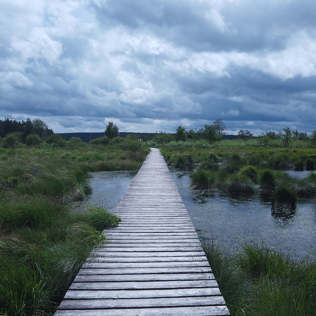 GazorTrail's tweet photo. https://t.co/ex6oZt2xEI #exploring #valley #backcountry #bush #backpack #hiking #camping #tent #walking #camping #trails #trailgazor #views #amazing #nature #forest #village #germany #belgium #border https://t.co/2p1cZMeW0B