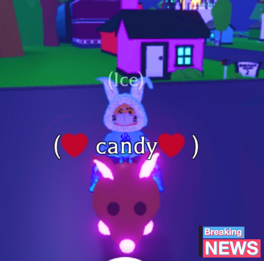 TylerplaysR's tweet photo. @PlayAdoptMe 
Just got a rideable neon https://t.co/XhuOuwZE4K