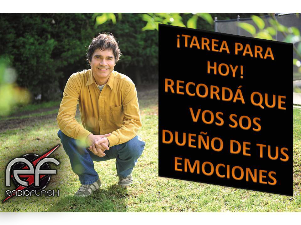 radio_flash's tweet photo. Estas escuchando #ELMEJORMOMENTODETUVIDA Con #ClaudioMariaDominguez y un gran equipo!!
Sumate! y arranca el finde de otra manera
https://t.co/irAJwlAb78 
#radio #radiodigital #radioflashdigital #cuarentena #QuedateEnCasa https://t.co/U5HeLcKysW