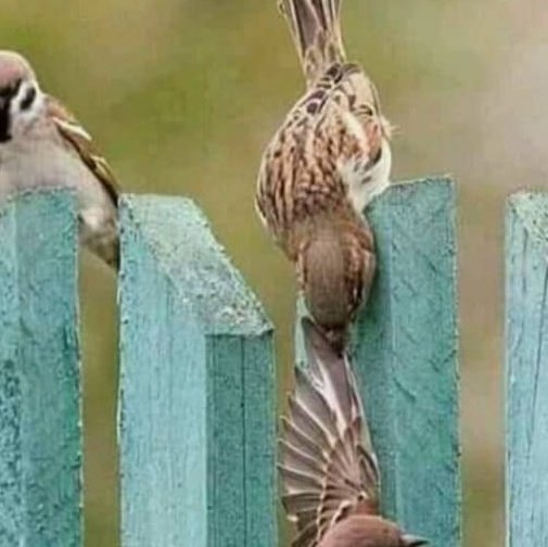 sysays2002's tweet image. #صورة_ملف_شخصي_جديدة