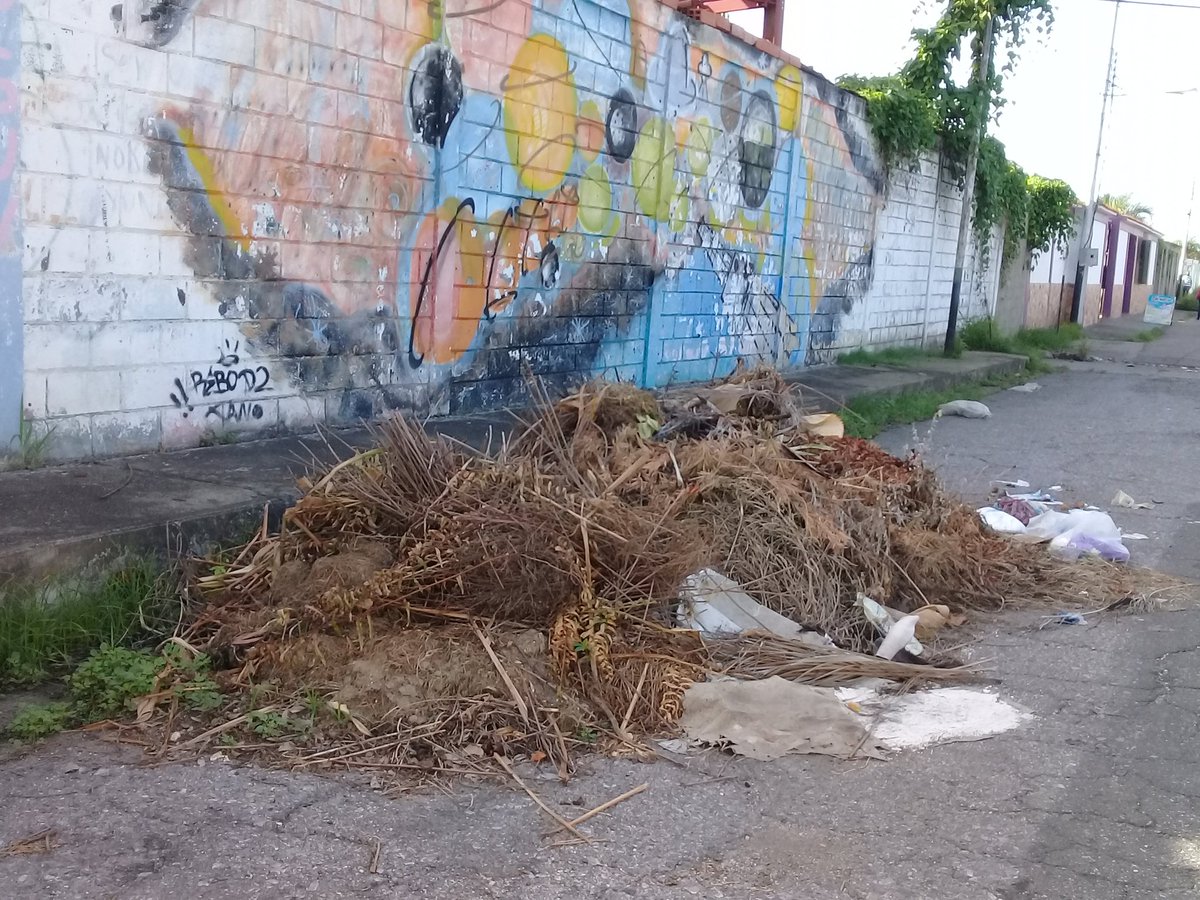 ReporteYa's tweet photo. #4Jul #Codejes #Denuncia
@garza_informa: "Otro relleno comunitario Sancarleño. Crisis en la recolección de la basura" https://t.co/jrM9U8Enlu