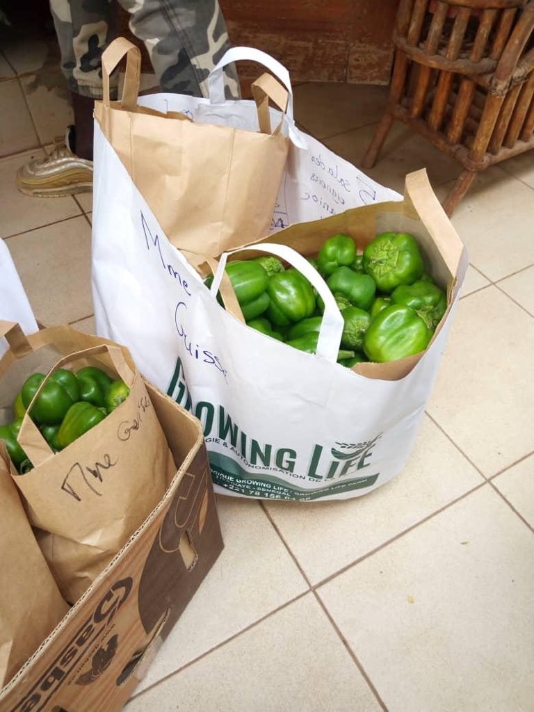 yobanteYES's tweet photo. La chaine de frais et froid #YES2F de YOBANTE EXPRESS vous livre efficacement et rapidement des légumes fraîches &amp; bio de nos partenaires de la région de Thies GrowingLife farm, Enjoy agriculture et Keur Yakhar. @yobanteYES connecte les agriculteurs locaux au commerce local. 🤎💛 https://t.co/fMbbcsOcOG