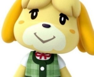 themouseyouknow's tweet photo. Really wish I was getting payed the same way Tom Nook pays Isabelle https://t.co/caSb36o3cK