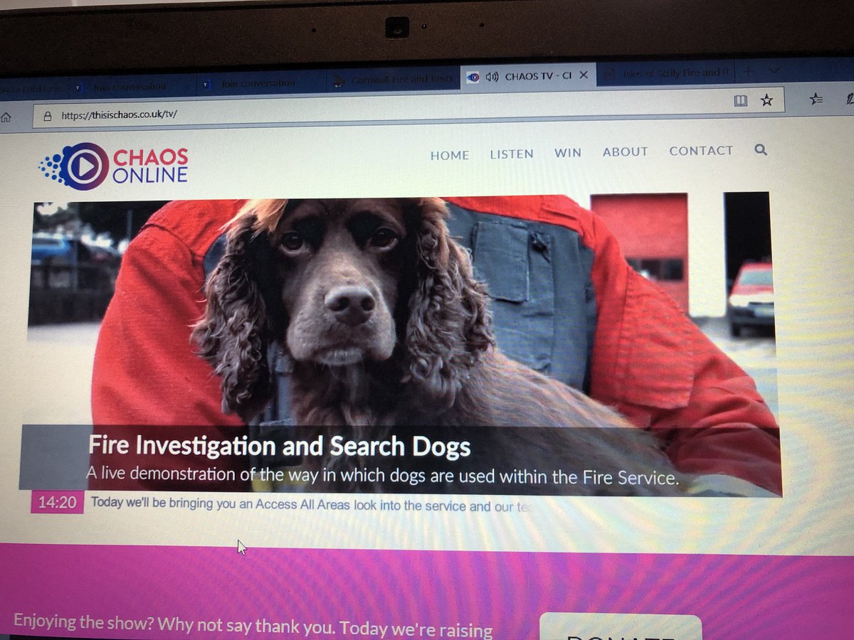 CornwallCFO's tweet photo. Oh my goodness is it me or was this maybe one of the best shots of our virtual open day!!!!! Archie did all of the work but Woodie certainly has a face for tv! @ChaosGroupUK Fantasic day of virtual community engagement @CornwallFRS @NFCC_FireChiefs https://t.co/33t7CiGwWz