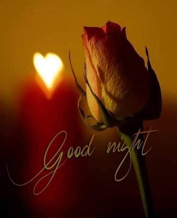 MRKOMBO5's tweet photo. Good night sweet dreams to all  friends https://t.co/3OsTml7aH3