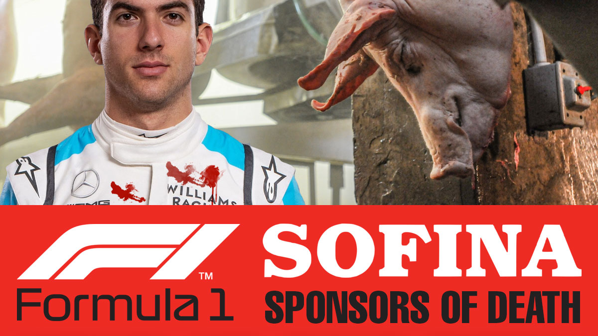 Animal Save Movement tweet media