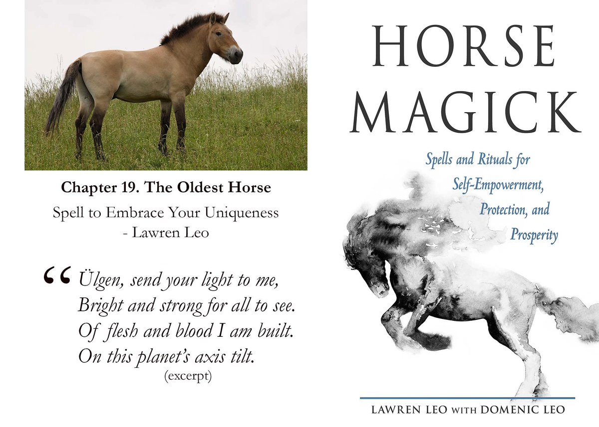 Lawren_Leo's tweet photo. Spell to Embrace Your Uniqueness
#HorseMagick #horsetotem #totems
#Przewalski #ulgen #spells #witchesofig #d #LawrenLeo #spellsforempowerment
#titaniumaura #personaltransformation
#gaymagick #lgbtq🌈
https://t.co/R3y8pddZV0 https://t.co/pWb33urPn5