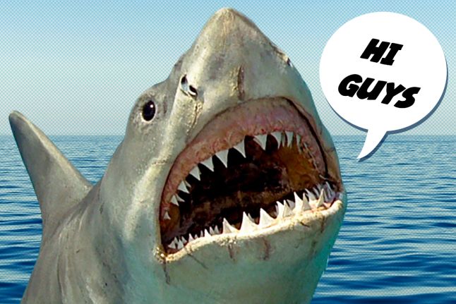 Mama_saurusRex's tweet photo. Happy Jaws Day! A day where we celebrate the time honored tradition of ignoring experts in favor of money, then get confused as to why people are dying.
#Jaws #DontBeTheMayor #WearAMask #scienceisreal #YesJawsIsAJuly4thMovie https://t.co/wultQfQPC7