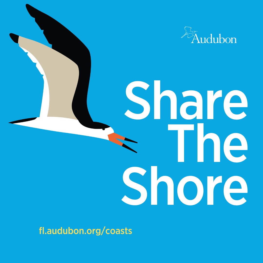 AudubonFL's tweet photo. Happy Independence Day! Remember to #SharetheShore with nesting beach birds. https://t.co/RVkQuNV0dw