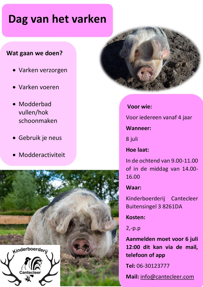 🐷Zomeractiviteiten bij de Cantecleer🐷
✅Volgende week woensdag 8 juli. Dag van het Varken.
✅Er zijn nog plaatsen beschikbaar.
✅Kun je niet die dag? Er zijn veel meer activiteiten!
🌍cantecleer.com/zomeractivitei…