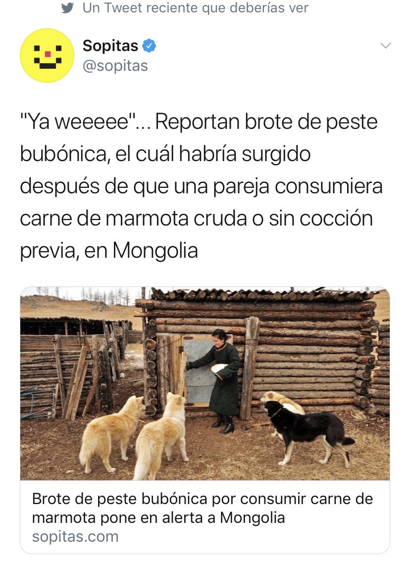 steffita's tweet photo. Una vez más aquí aprendemos algo: YAAAA dejen de comer animales!!!! https://t.co/1g91j1j3gH