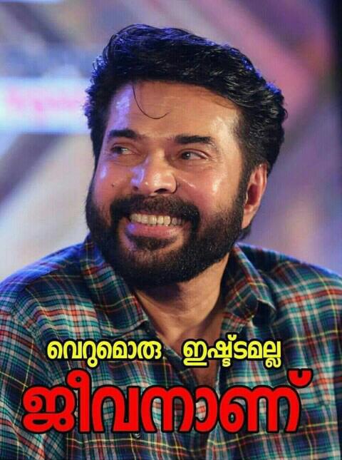 Shein3699's tweet photo. @mfwaikerala @mammukka Follow Me &amp; I will follow back

#SpreadMammoottysm 

@mammukka || #Bilal https://t.co/pownr2V24W