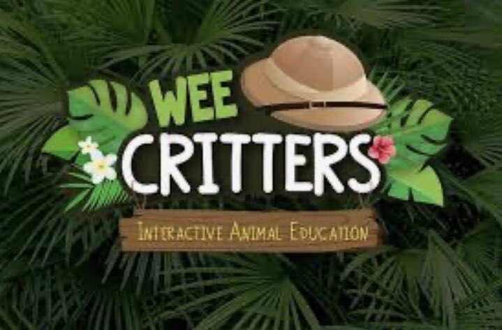 AutonomieInfo's tweet photo. On now! Live on Zoom our members - 16-25 y/olds in Belfast and surrounding areas are tuning into @WeeCrittersNI interactive animal education as part of our #Freedom2ChooseProg
#AutonomieCoronavirusSupportHub https://t.co/cDrc5cAjTA