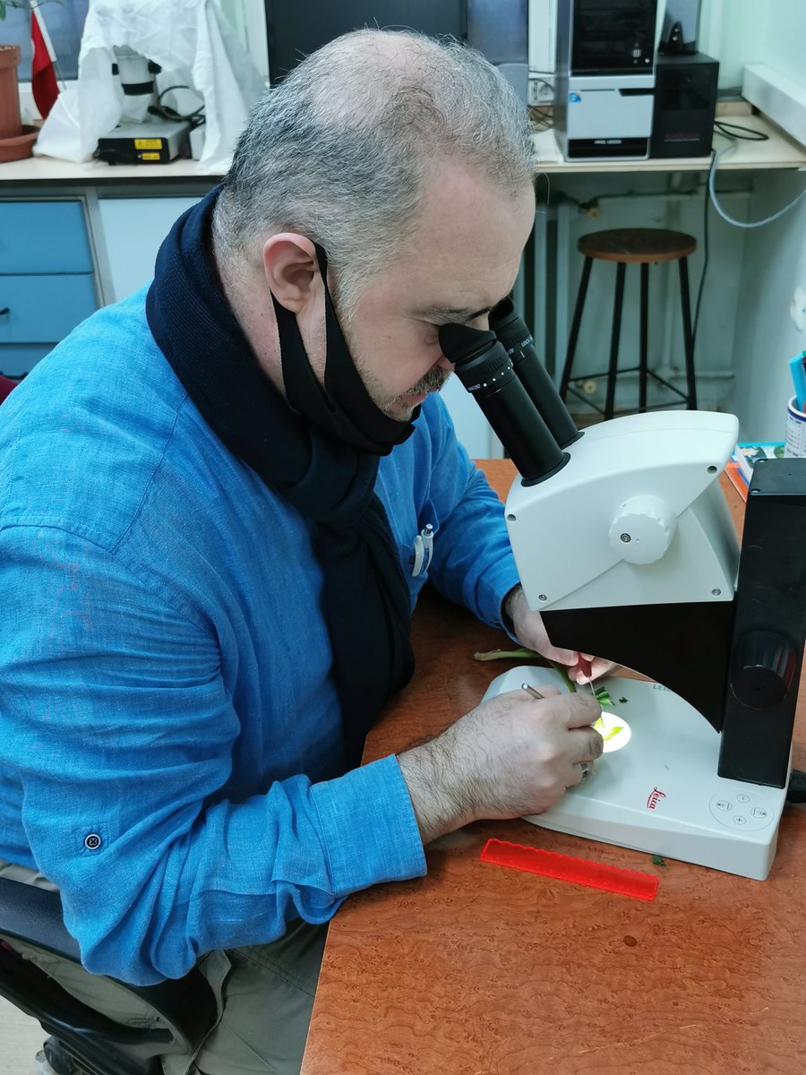 fevziozgokce's tweet photo. Bugün günlerden #Van
#YüzüncüYılÜniversitesi #VANF #HERBARYUM'U Binbir zorluklar ile şarkın yüksek dağlarından vefalı ve kadirşinas halkımızın kullandığı bitkilerin Herbaryum materyali haline getirilme ve teşhis çalışmaları devam ediyor.
#Etnobotanik
#Ethnobotany
#Etnoveteriner https://t.co/CXBDnCiI76