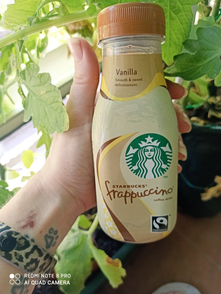 estefaniarc95's tweet photo. A refrescarse un poco con un café bien fresquito #ChilledCoffee #StarbucksRTD #proyectotrnd 🤤🤤🤤 https://t.co/wjn90FjiOV