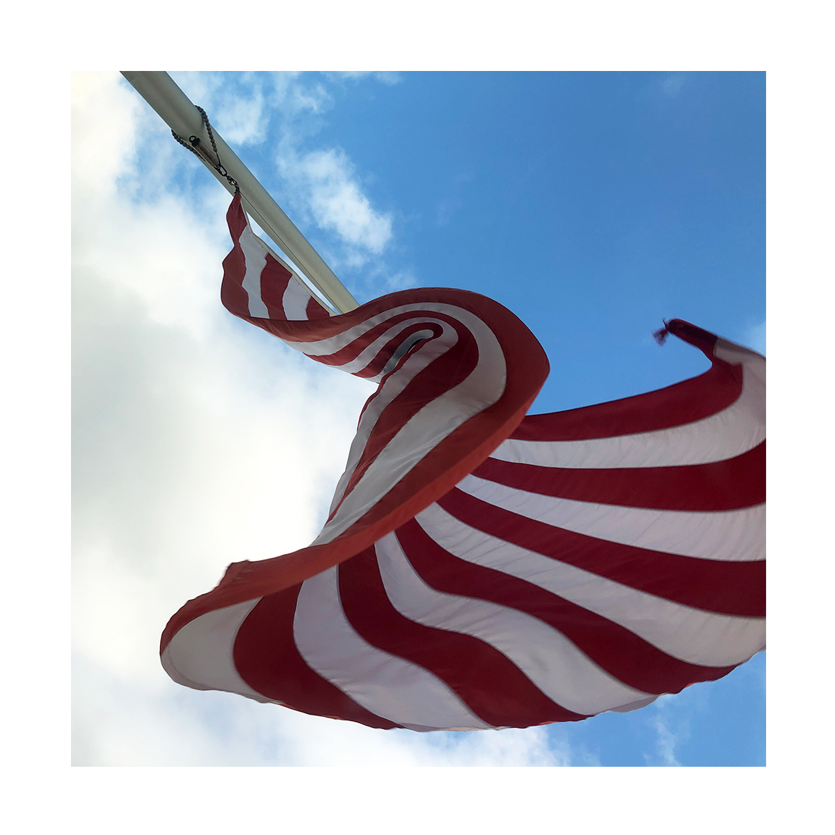ChathamGemstone's tweet photo. 🇺🇸 Happy 4th of July from Chatham Gems! 🇺🇸#Happy4thOfJuly https://t.co/xHeQvsFSzB