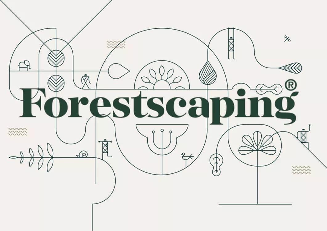afforestt's tweet photo. Proud to be launching Forestscaping, an integration of multi-layered indigenous flora with art and design.

ART | DESIGN | FORESTS 

#afforestt #NativeWildForever #forestscaping #rewiling https://t.co/y7VcA70pW1 https://t.co/1QurKJvddj