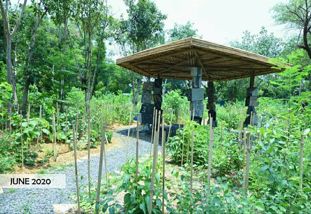 afforestt's tweet photo. Proud to be launching Forestscaping, an integration of multi-layered indigenous flora with art and design.

ART | DESIGN | FORESTS 

#afforestt #NativeWildForever #forestscaping #rewiling https://t.co/y7VcA70pW1 https://t.co/1QurKJvddj