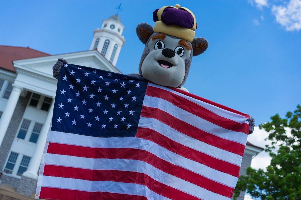 Stars and stripes forever! Happy Fourth of July 💜💛