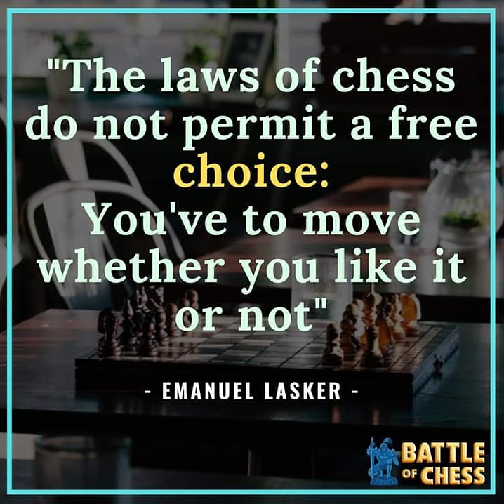battleofchess's tweet photo. You've to move whether you like it or not. 💪😎

#chess #chessquotes #battleofchess #chesslife #checkmatecoronavirus #checkmate #quarantinemotivation #quarantine #motivate #inspirationalposts #indianchessassociation #battleoflife #emanuel #lasker #emanuellasker https://t.co/Vl8A6ilZWS