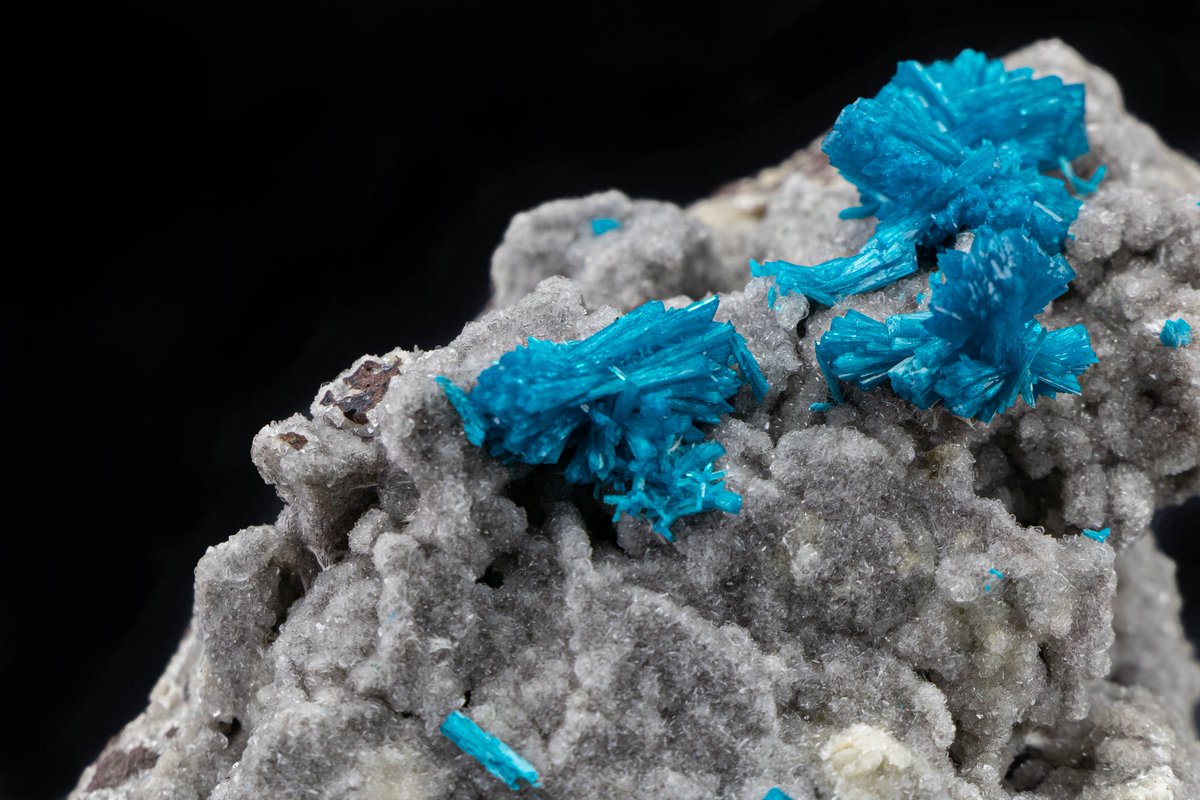MineralsSuperb's tweet photo. Red (apophyllite), white (stilbite), and blue (cavansite). Happy #independenceday to the USA and to you!

#4thofjuly #rareminerals #SuperbMinerals #crystals #zeolite #minerals #rockhound #geology #minerology #museum #homedecor #mineralporn #mineralsforsale #mineralcollection https://t.co/NQihHFieK7