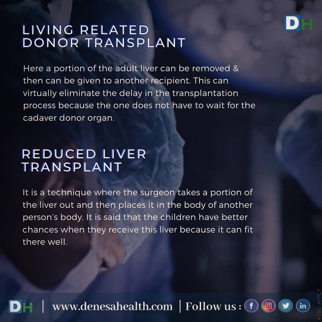 DenesaHealth's tweet photo. Types of #LiverTransplantation :
A #Liver is one of the essential parts of the body. Any issues in the function of the liver can have adverse effects on the body.  https://t.co/42Hyc0ycuq

#LiverProblems #keepingLiverhealthy #protectyourLiver #HealthyLiver #DenesaHealth #CLD https://t.co/dfcFBqSeo2
