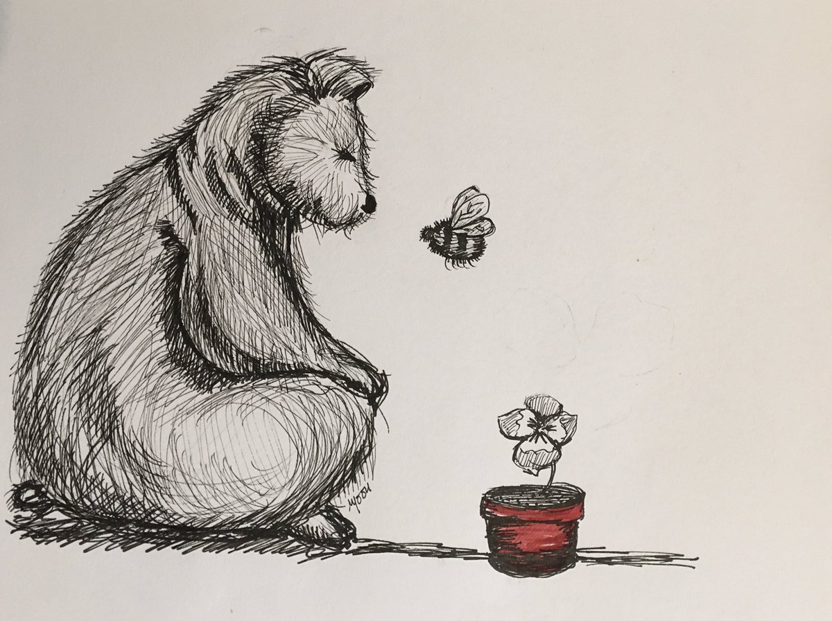 NorthHouse2's tweet photo. North bears in lockdown. https://t.co/61oKKZolvW