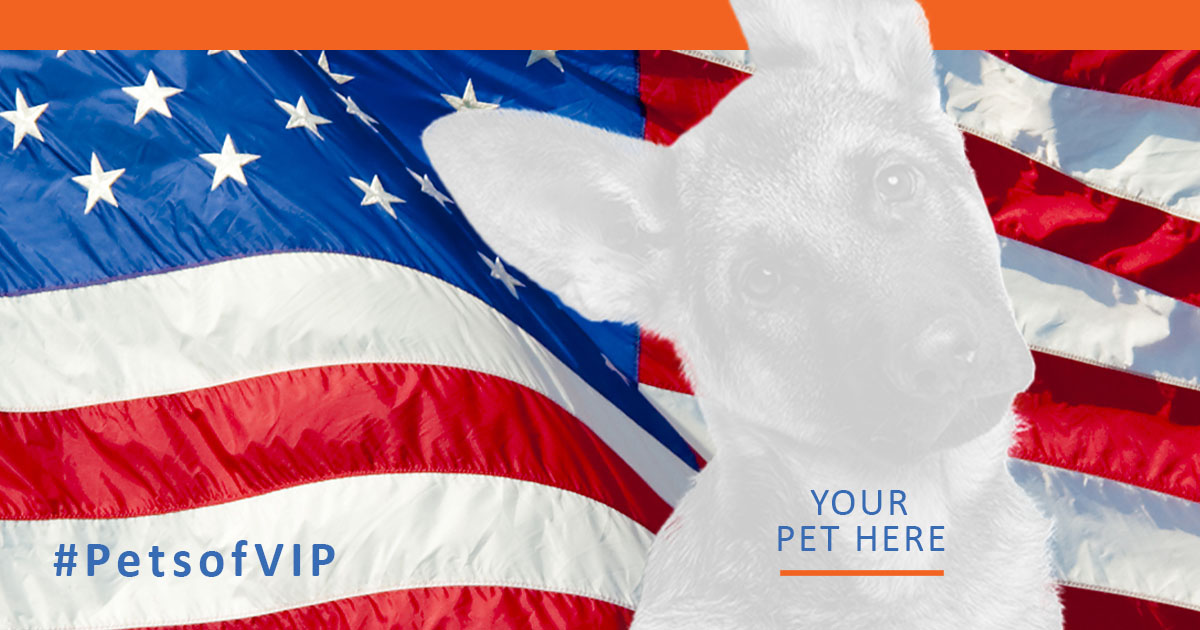 VIP Petcare tweet media