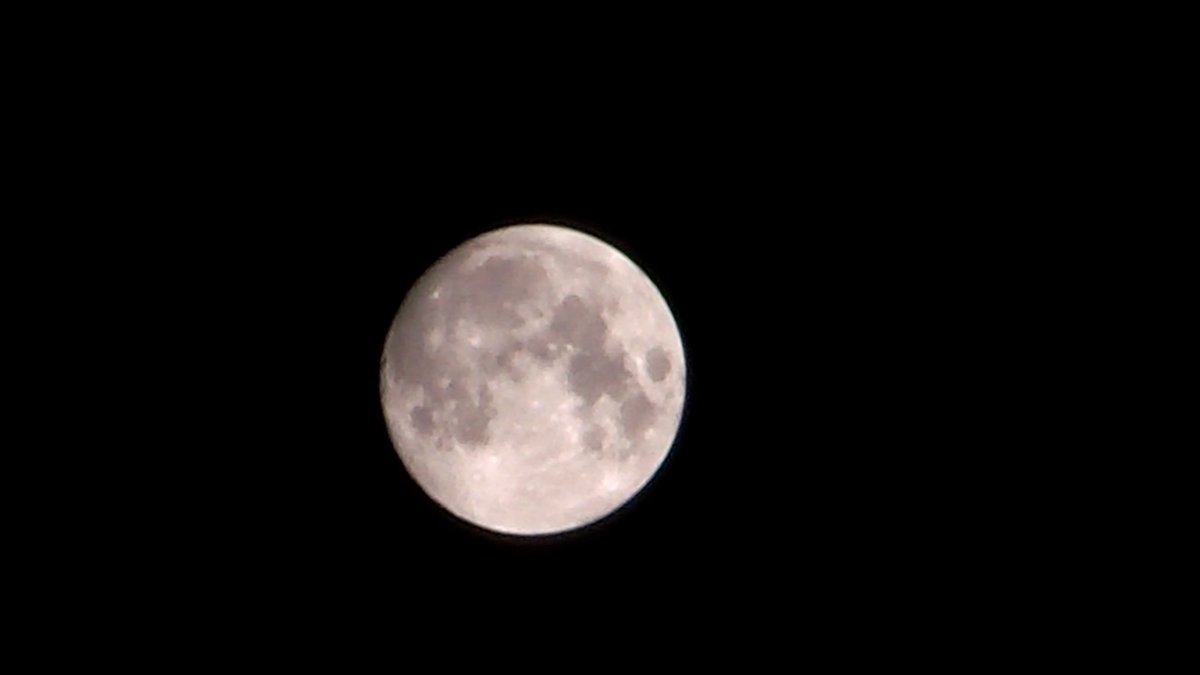 Nanuuuu's tweet photo. The #moon at 96% from Pembroke Pines, Florida. July 4, 2020. 1:00 am. Samsung camcorder (HMX-H100), at 1/250, f/4, and stacked with Lynkeos software. #nightsky #nightskyphotography #astrophotography #moonphotography #highpointscientific #astronomy #backyardastronomy #nanewton https://t.co/wMm3Q75H7Y