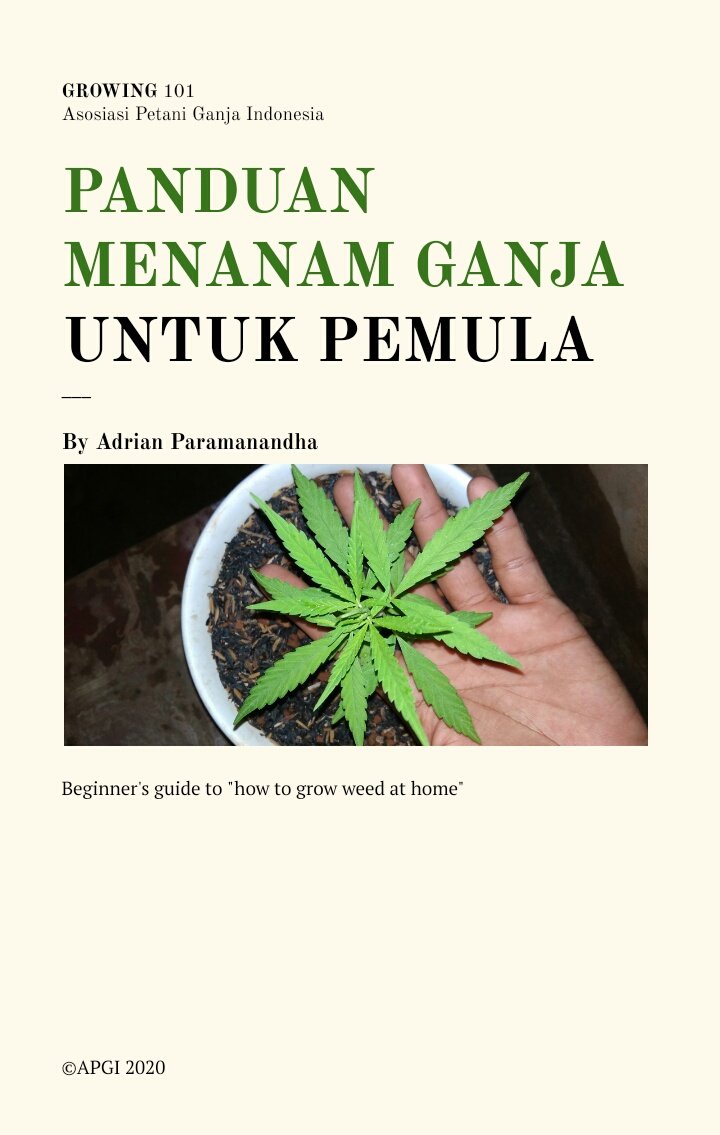 APGI_ID's tweet photo. yang ditunggu-tunggu nih.
420 RT kita share 💚 https://t.co/ptavG6QESh