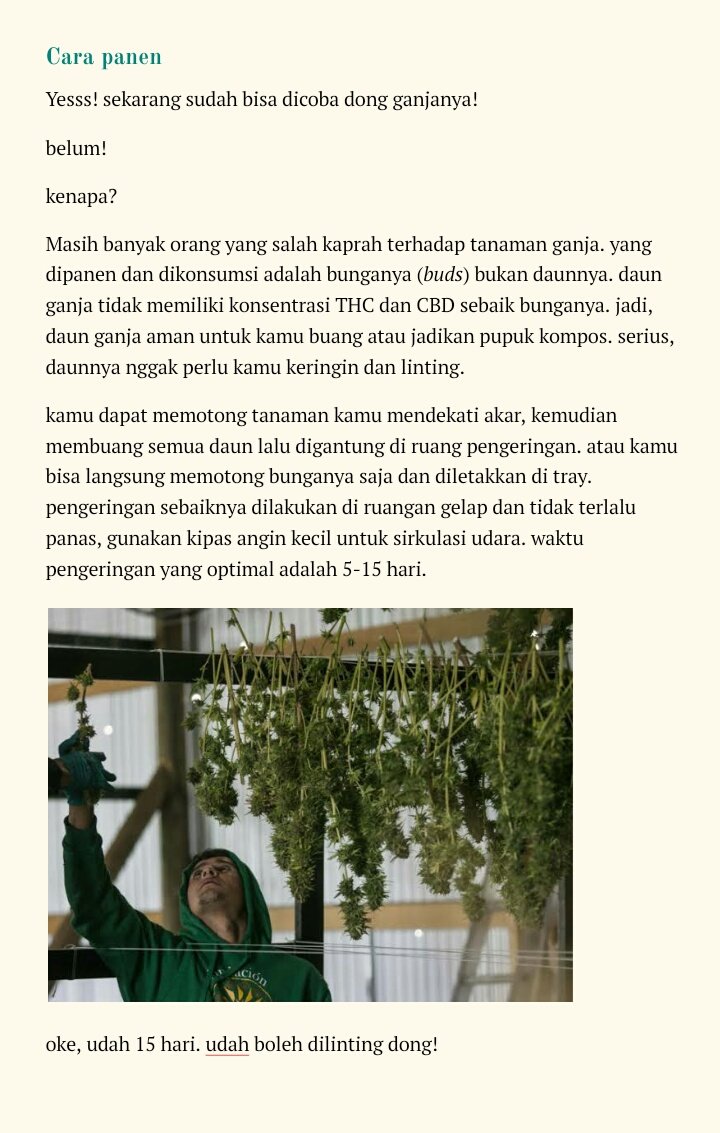APGI_ID's tweet photo. yang ditunggu-tunggu nih.
420 RT kita share 💚 https://t.co/ptavG6QESh