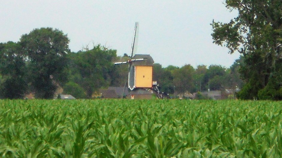 CharlesHerpen's tweet photo. Alternatieve #Vierdaagse #KWBN din 21 tot vrij 24 juli 2020 Lopen in eigen omgeving, o.a. in en rond @Geffen_nl #DeVierWindstreken; dagelijks mooie route van 30 km, start en finish op kiosk #Dorpshart💚, deelname gratis, #rivm, op eigen risico 🏃‍♀️🏃‍♂️ https://t.co/KvMKunYo4s