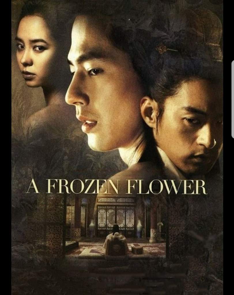 I'm a sucker for historicals so when I saw  #AFrozenFlower on Viki I decided to give it a go. Well, I was not prepared for the amount of sex scenes (M/M & M/F) in this movie. Guess I can't complain about lack of kissing now. Familiar faces, a wicked love triangle & a tragic end.