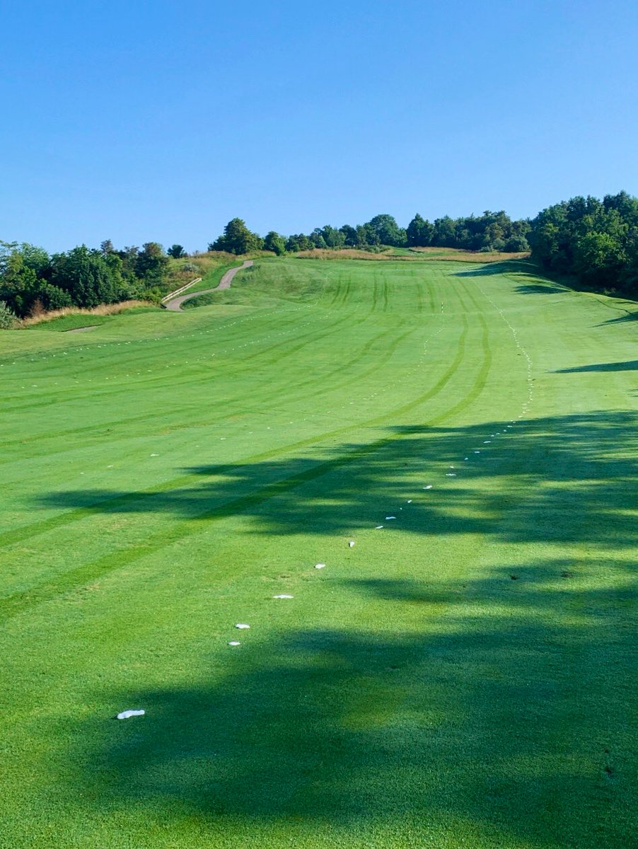 Lee Simpson tweet media