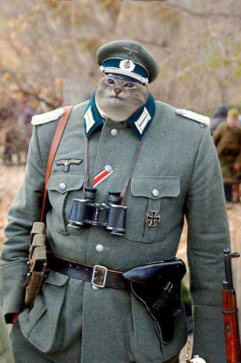 A_Unique_Boomer's tweet photo. @FilipposKourt @KuehniKev 1jahr später https://t.co/C3PEMSihTq