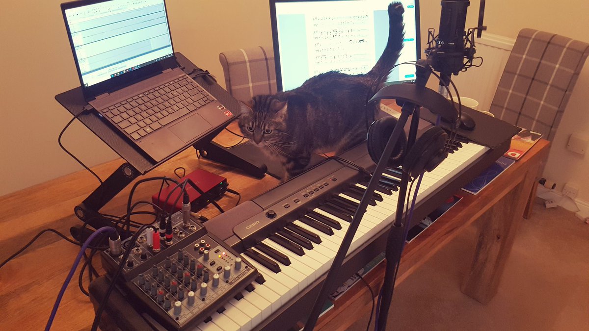 KathleenCronie's tweet photo. New choir/teaching setup for the next term has been inspected by Khaleesi. She's suspicious of the whole thing. Me too cat, me too.
#technofear #technojoy https://t.co/RyQNYL6Y4n