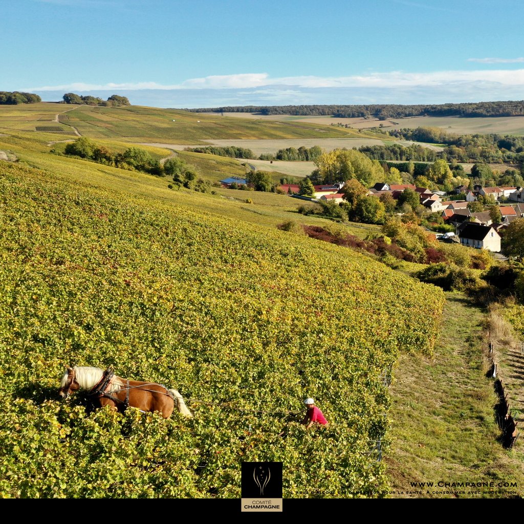 Champagne's tweet photo. Nous fêtons les 5 ans de l’inscription des Coteaux, Maisons et Caves de Champagne au Patrimoine mondial de l’UNESCO ! 😍🌍🇫🇷🍾 Et ça, ça vaut bien un petit tour en #Champagne ! #5ansChampagneWH #ChampagnePatrimoineMondial @ChampagneWH https://t.co/OTVUEImUFi