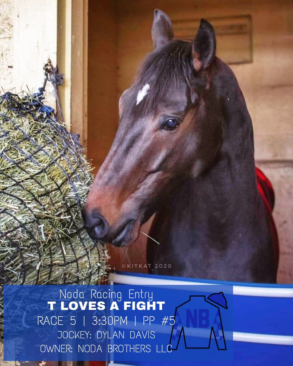 nodaracing's tweet photo. Today #TLovesAFight is ready to fight in the 5th race, don’t miss it.. he needs all his fans watching.. #nyra #belmontpark #thebestisyettocome #tloves https://t.co/BOpbje2s5o