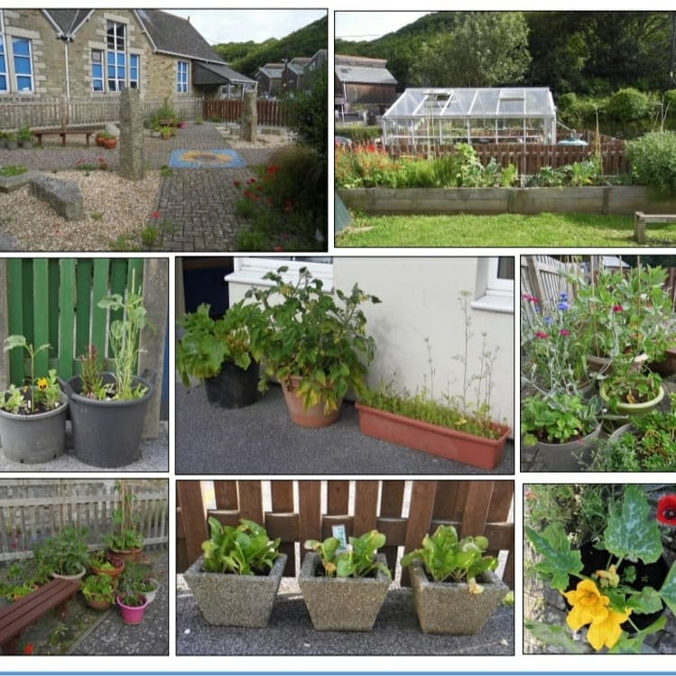 LovePortreath's tweet photo. It was lovely to see some of the effort that has already gone in to planting around the grounds of the school in their newsletter this week. 
#LovePortreath 💙 #LoveCornwall #Portreath #lovewhereyoulive #luckytolivehere #loveyourplanet #communitiesinaction #makeadifference https://t.co/Rb92tMaibb