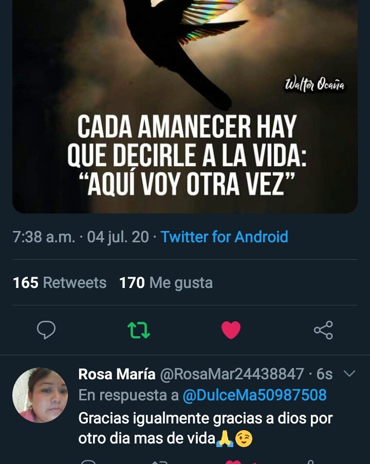 Rosa María tweet media