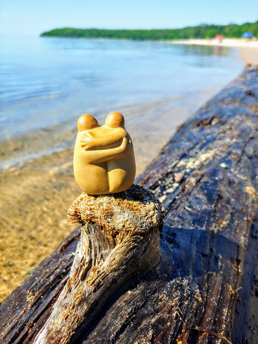 bertneale's tweet photo. Goodbye hug from Pancake Bay.  @lisaneale https://t.co/6lNnF76vnP