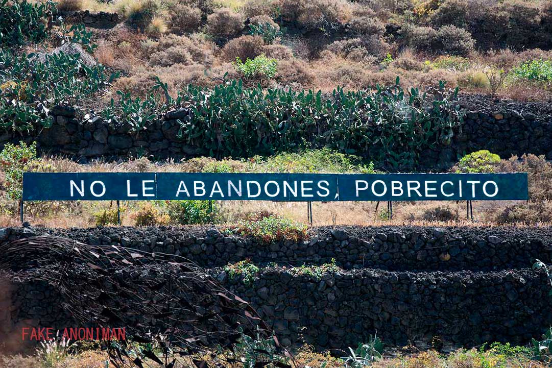 mensajeanoniman's tweet photo. "NO LE ABANDONES, POBRECITO" #Anoniman #Cartelautopista #Arteenlacalle #Instalacionurbana #Tenerife #Optimismo #Streetart #Landart #Elnuncaloharia https://t.co/XGJdim8Xys