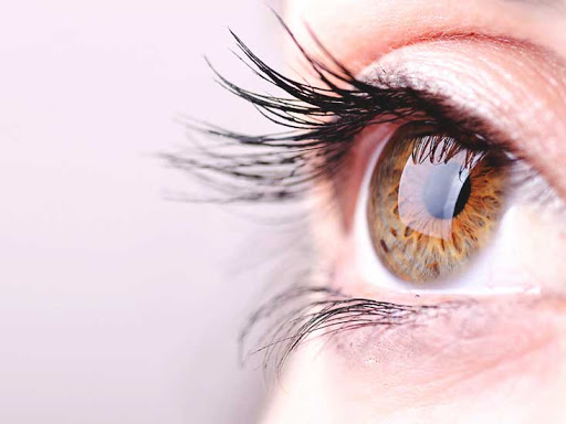 SkinBodyRenewal's tweet photo. MD Lash Factor Eyelash Conditioner is an award-winning formula for thin &amp; short lashes. It combines skin care science &amp; safe ingredients for longer, fuller &amp; thicker looking lashes https://t.co/KiWfo6Ji1h 
#SkinRenewalSA #MDLashFactor #MDlash #lashes #grow #eyelashes https://t.co/vKpeTg9PFz