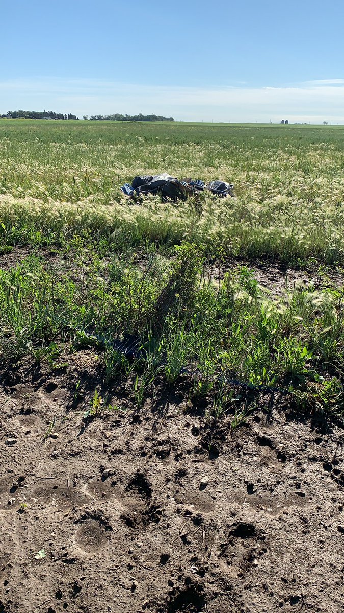 kenton338's tweet photo. Plough wind or tornado… Not sure what it was but it was brutal. At least no one got hurt. #JulyStorm #twister #cleanuptime https://t.co/CM7GbTeHeK
