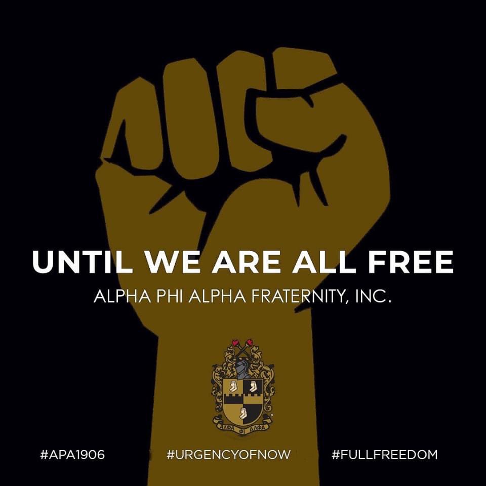 ABQalphas tweet media