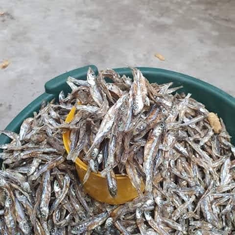 KinAchat's tweet photo. Nous nous focalisons dans la vente des produits alimentaires du Kivu et du Katanga!

Contactez-nous pour une commande : 0971 957 277
Nous livrons aussi à domicile mais à vos frais https://t.co/McCHITjqTE