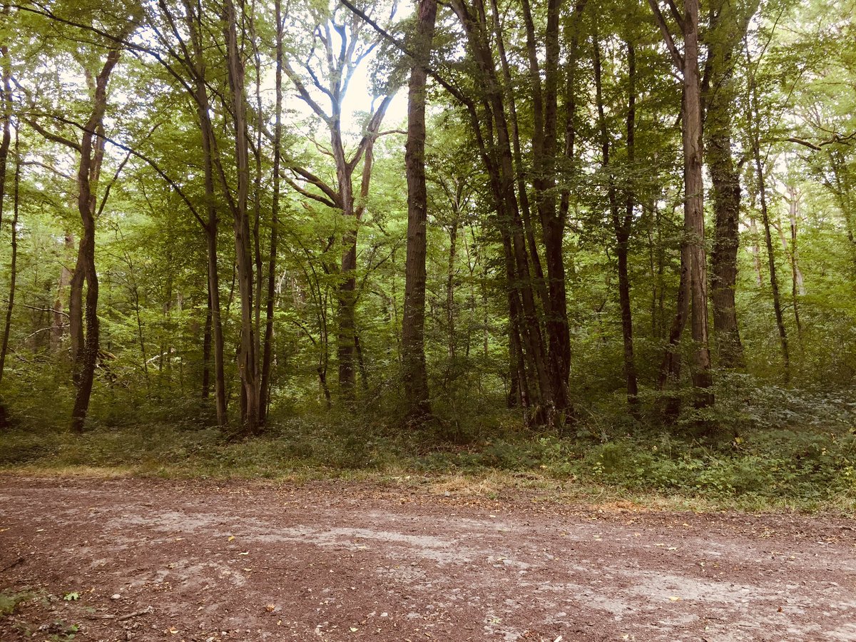 sebmar57's tweet photo. 10 km de balade dans la nature au grand air 😊 - avec @anthalys #Moselle #BasseHam https://t.co/Uy9rZhHqST